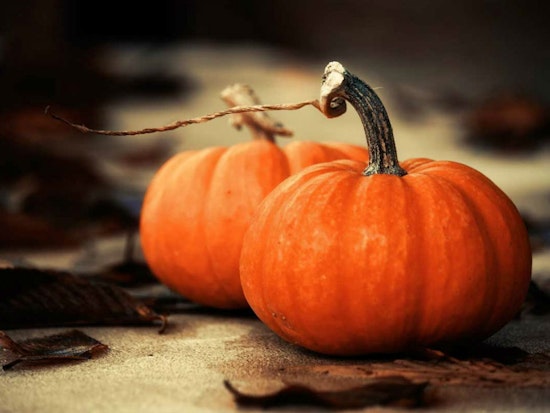 Getting Spooky In The Neighborhood: Your Upper Haight Halloween Primer