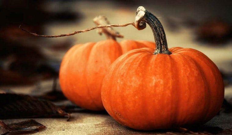 Getting Spooky In The Neighborhood: Your Upper Haight Halloween Primer