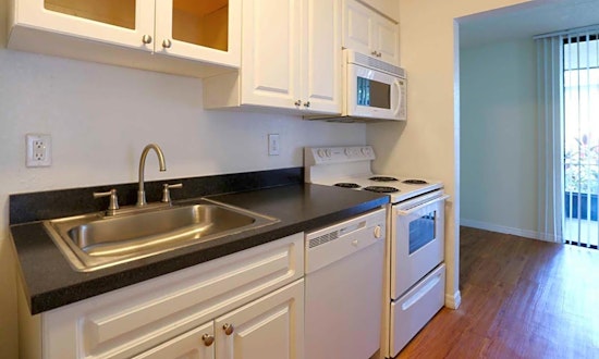 Renting in Tampa: What's the cheapest apartment available right now?