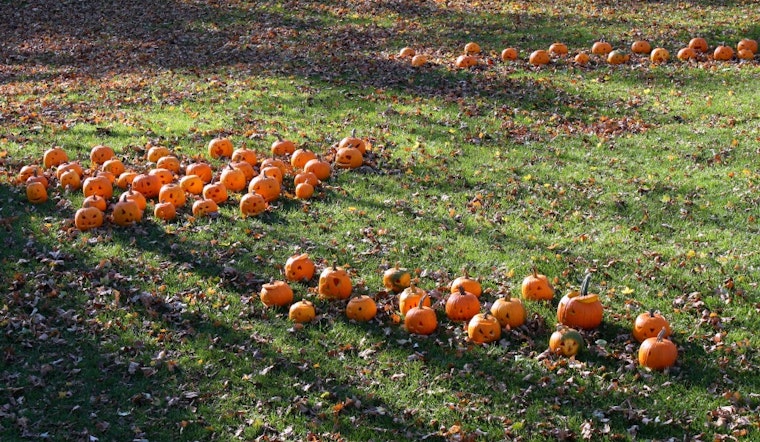 Intimate Panhandle Pumpkin Event Coming This Thursday (NSFW)