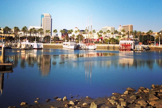 Top Long Beach news: Tree damages vehicles; conference canceled over coronavirus concerns; more