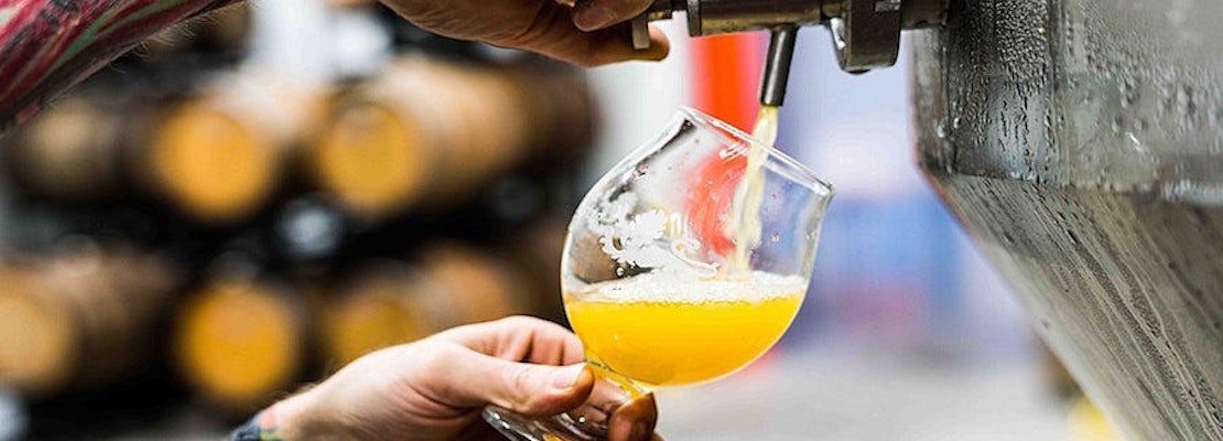 5 ways to enjoy your week in Tampa