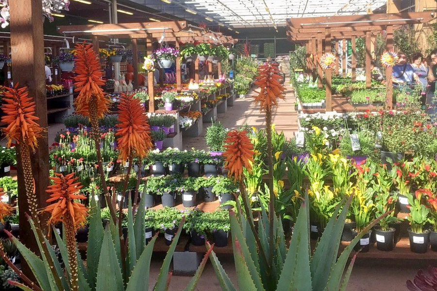 Almaden Valley gets a new hardware store Outdoor Supply Hardware