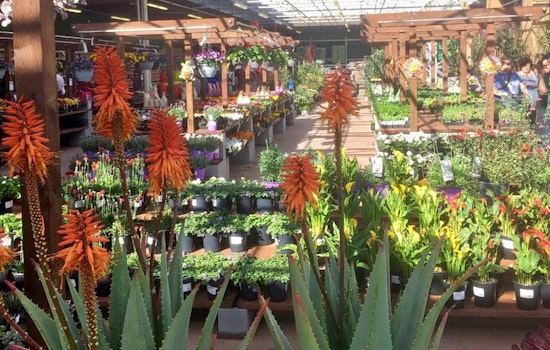 Almaden Valley gets a new hardware store: Outdoor Supply Hardware