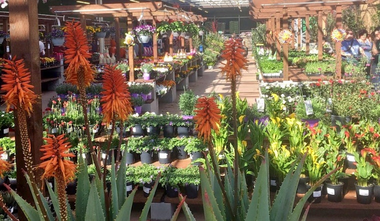 Almaden Valley gets a new hardware store: Outdoor Supply Hardware