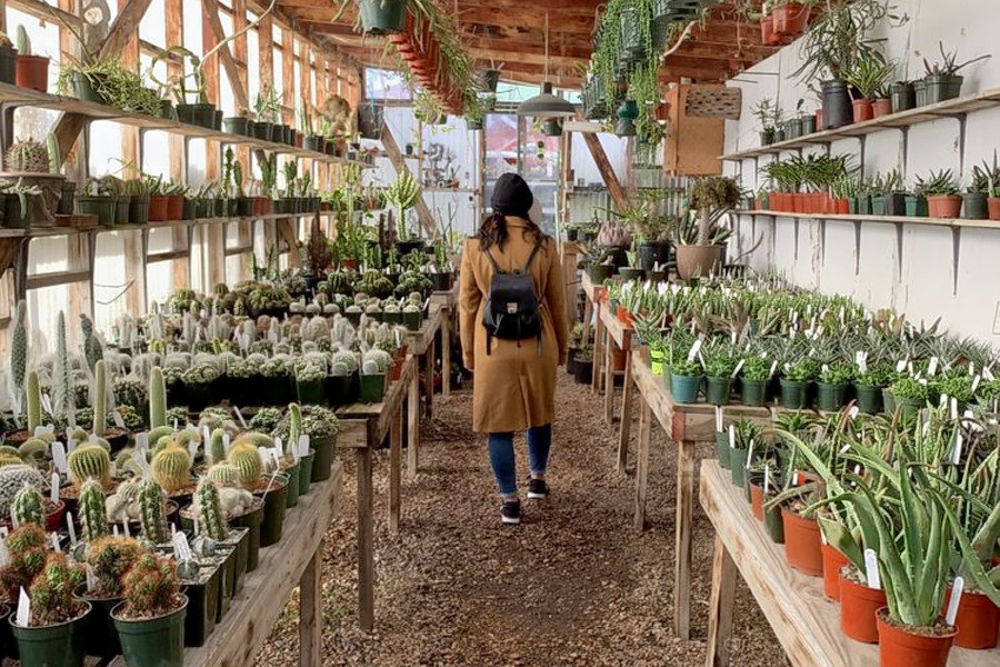 Explore the 5 most popular spots in Oakland's Bushrod neighborhood