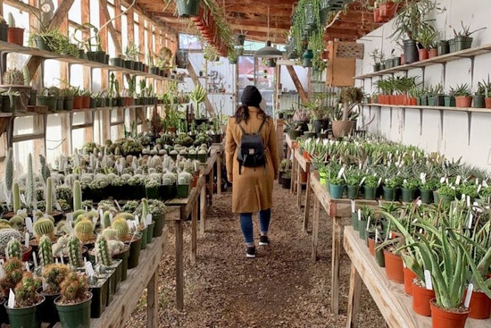 Explore the 5 most popular spots in Oakland's Bushrod neighborhood