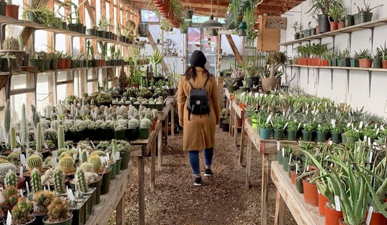 Explore the 5 most popular spots in Oakland's Bushrod neighborhood
