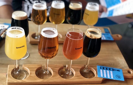New Shadyside brewpub BrewDog opens its doors