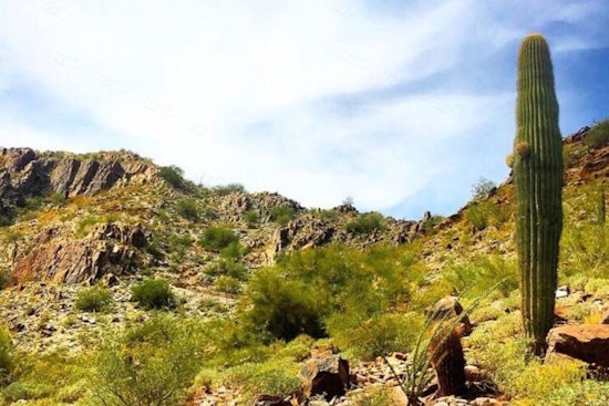 Phoenix's top 4 parks to visit now