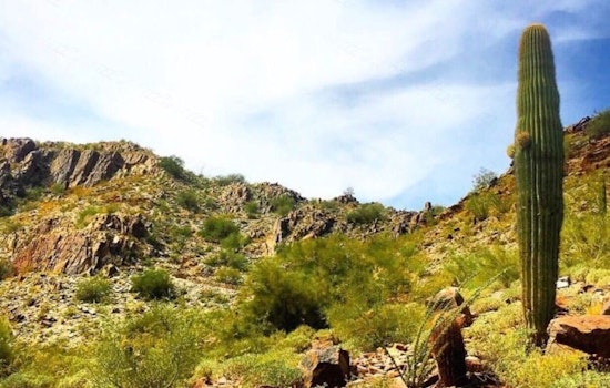 Phoenix's top 4 parks to visit now