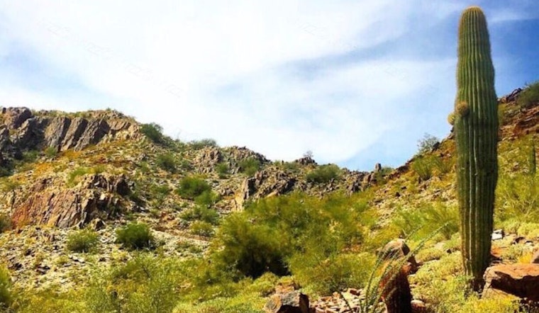 Phoenix's top 4 parks to visit now