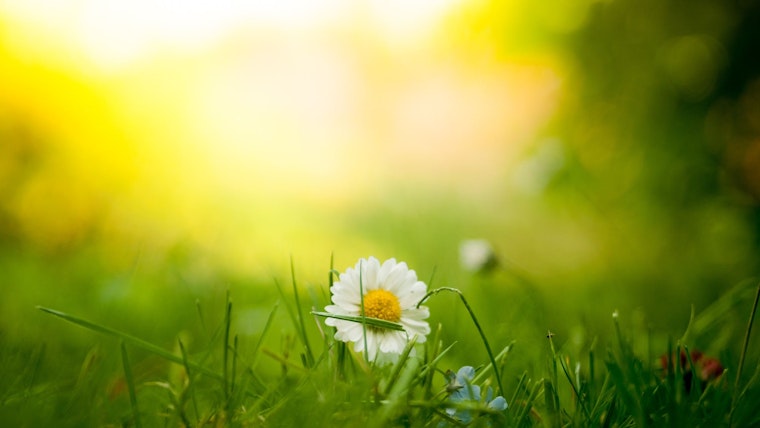 Your weather today in New York City