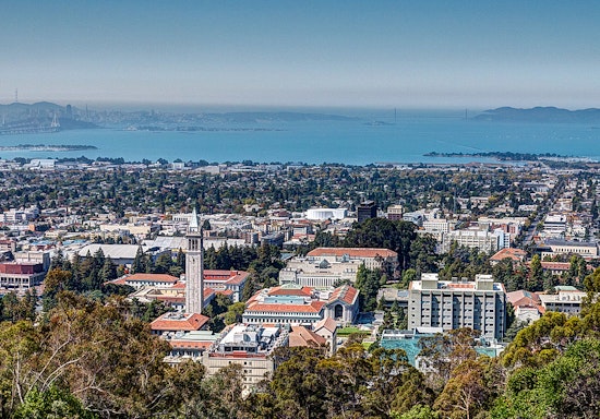 Top Berkeley news: Driver veers into homeless encampment; questions surround mysterious mailer; more