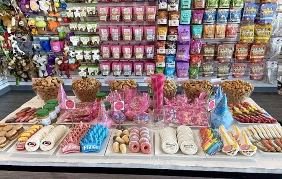 East Raleigh gets a new pet store: Woof Gang Bakery & Grooming