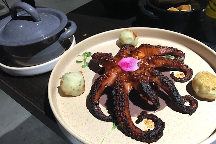Zazil Cocina Mexicana brings Mexican fare to Winchester North