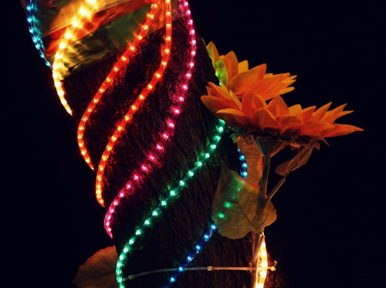 Holiday Lights May Be Coming, But Not From HAMA