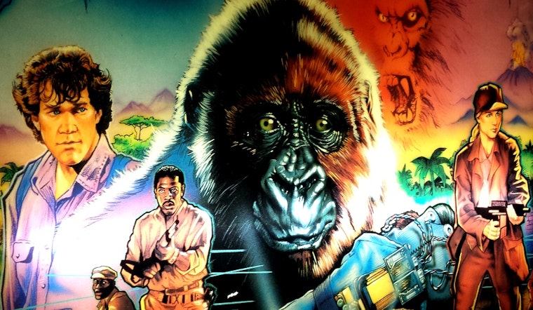 Follow The Silver Ball: A Neighborhood Pinball Primer