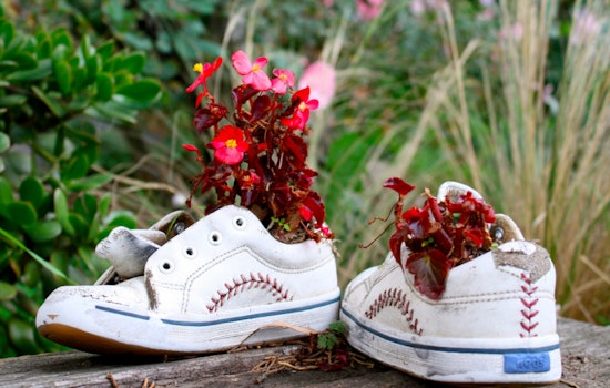 Remembering The Alamo Square Shoe Garden