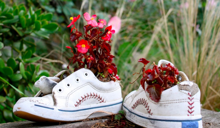Remembering The Alamo Square Shoe Garden