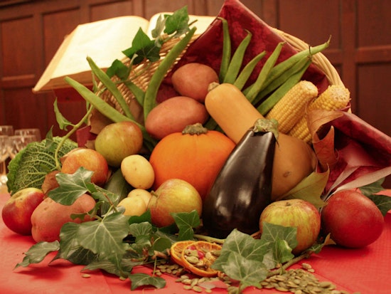 Your Upper Haight Thanksgiving Day Shopping & Eating Options