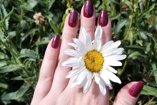 New nail salon The Beehive now open in University Park