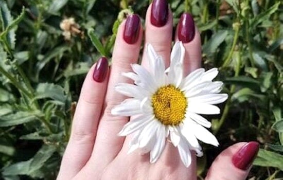 New nail salon The Beehive now open in University Park