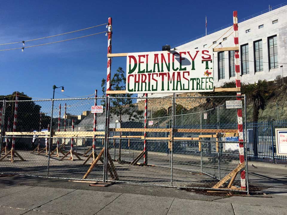 Christmas Tree Lot Pops Up At Safeway Parking Lot