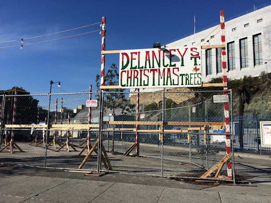 Christmas Tree Lot Pops Up At Safeway Parking Lot