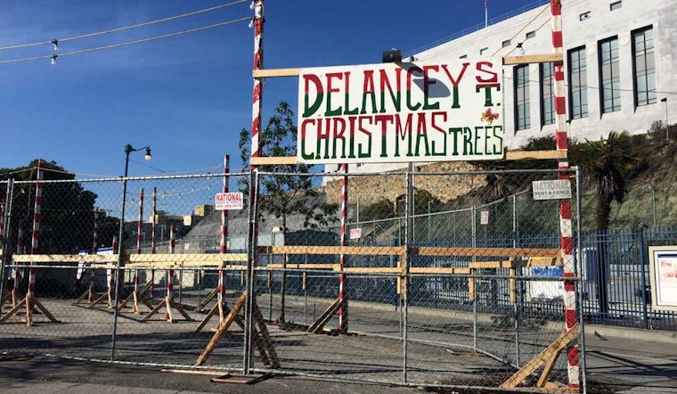 Christmas Tree Lot Pops Up At Safeway Parking Lot