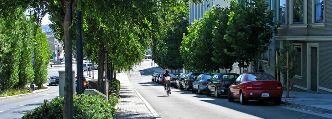 SFMTA To Study Octavia Area For Traffic Calming Enhancements