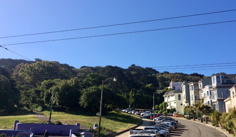 Upper Haight resident rallies opposition to proposed Green Benefit District