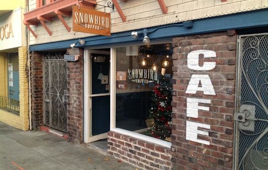Snowbird Coffee Stakes Its Claim Among Inner Sunset Cafes