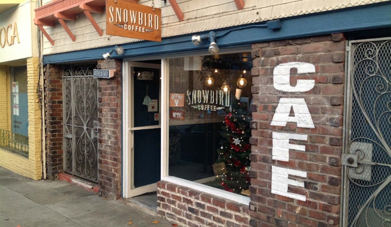 Snowbird Coffee Stakes Its Claim Among Inner Sunset Cafes