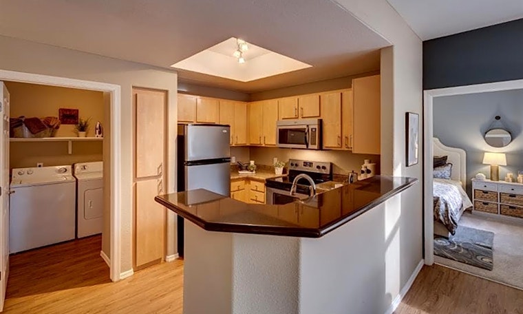 What apartments will $1,200 rent you in Paradise Valley, this month?