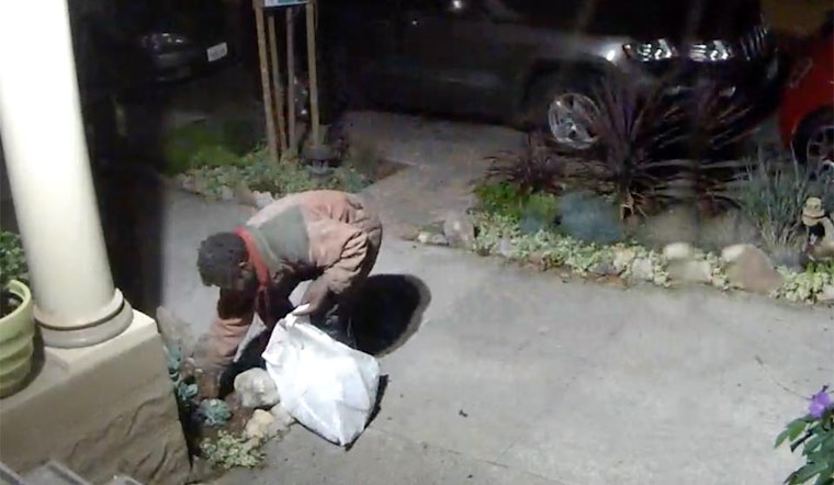 Lower Haight Recent Crime Roundup