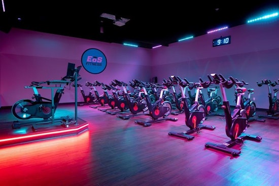 Mesa's top 4 gyms to visit now