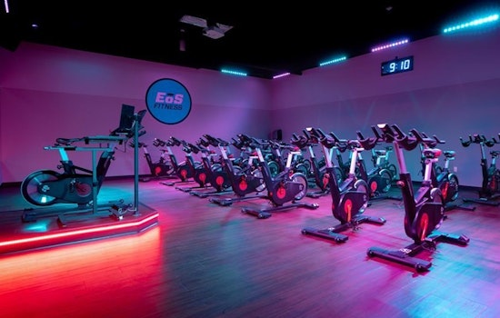 Mesa's top 4 gyms to visit now