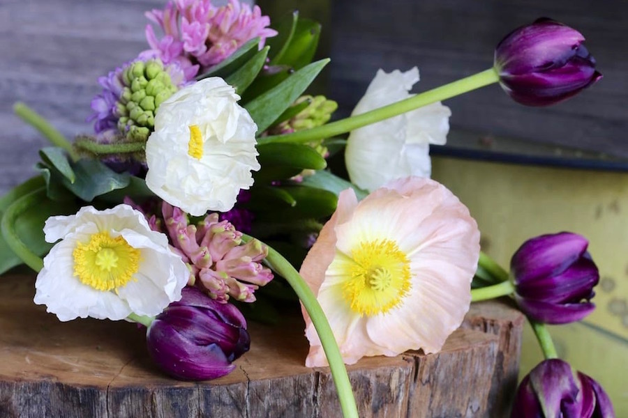 Check out the 4 most popular outposts in Denver's North Park Hill