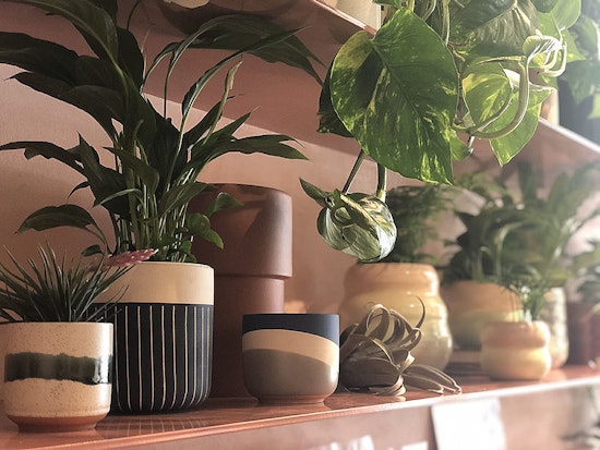 SF retailers rush to sell via Instagram stories, launch online stores during COVID-19 lockdown