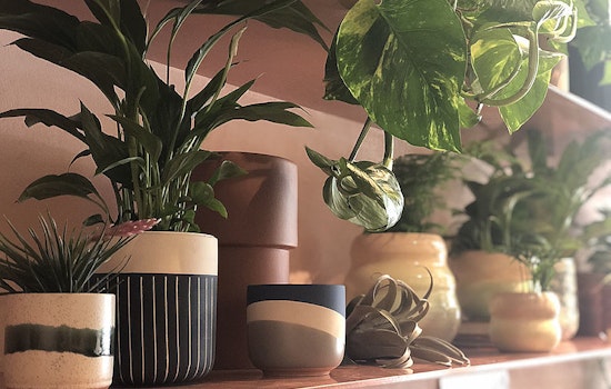 SF retailers rush to sell via Instagram stories, launch online stores during COVID-19 lockdown