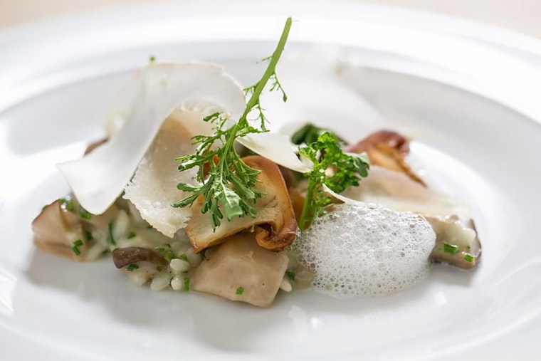 Seattle's 4 best spots to spend big on French fare