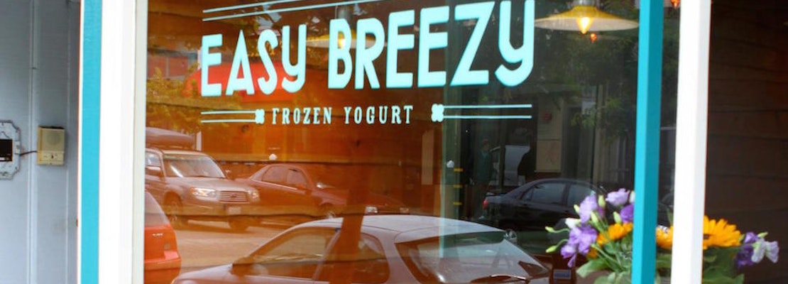 Easy Breezy Frozen Yogurt En Route To The Castro