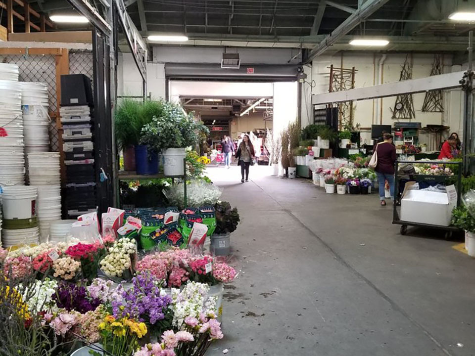 Fundraiser For Sf Flower Market Workers Aims To Cover Payroll For