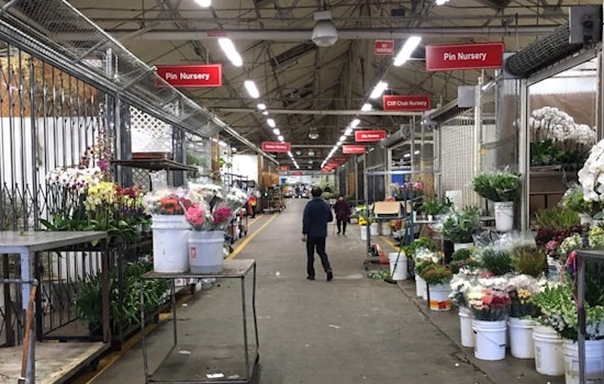Fundraiser for SF Flower Market workers aims to cover payroll for shuttered flower vendors