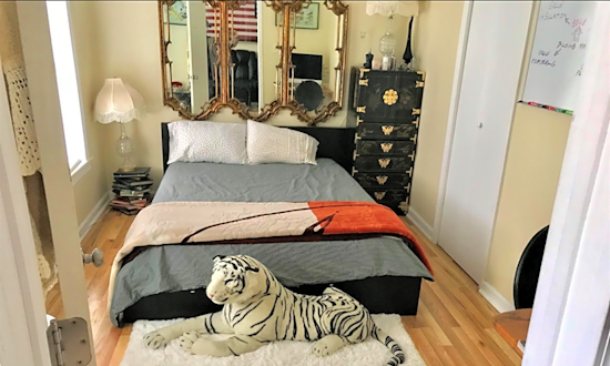 Budget apartments for rent in East Cambridge, Cambridge
