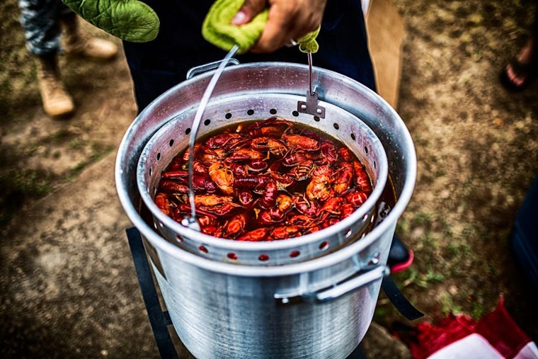 What to do in Houston this weekend, for $20 or less
