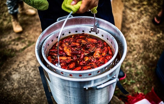 What to do in Houston this weekend, for $20 or less