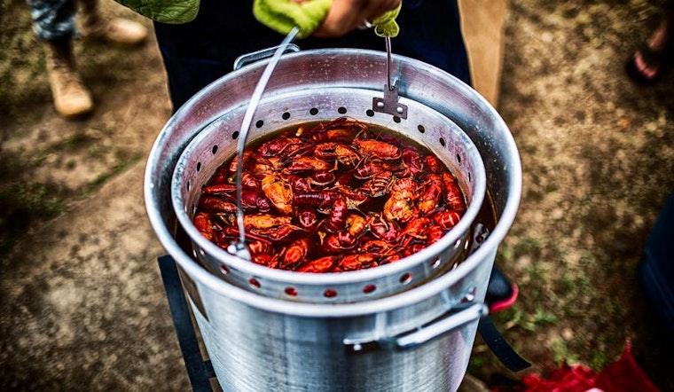 What to do in Houston this weekend, for $20 or less
