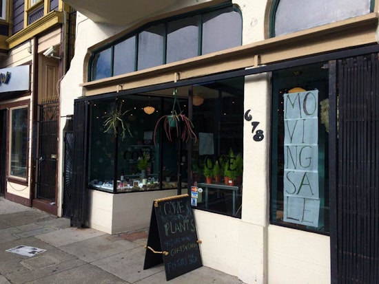 Cove To Take Over Gallery 683 Space